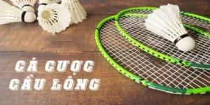 Bí Quyết Cá Cược Cầu Lông Win777 Dễ Thắng Cho Người Mới Bắt Đầu