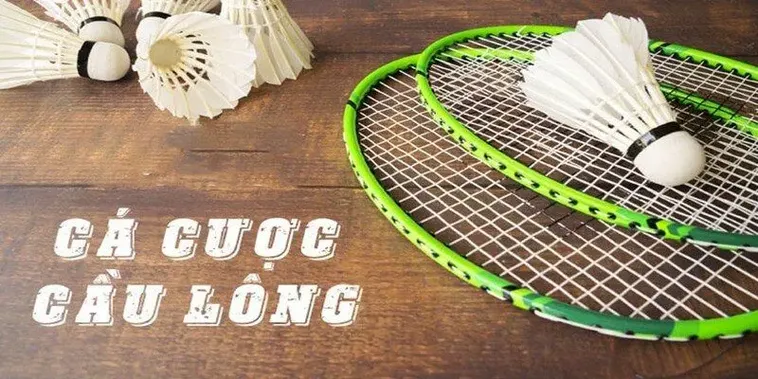 Bí Quyết Cá Cược Cầu Lông Win777 Dễ Thắng Cho Người Mới Bắt Đầu