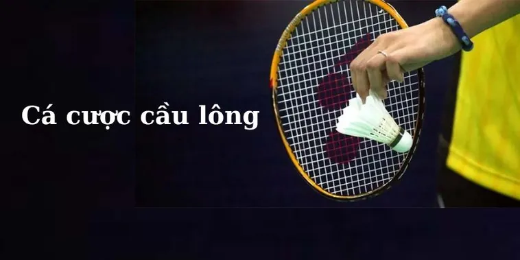Bí Quyết Cá Cược Cầu Lông Win777 Dễ Thắng Cho Người Mới Bắt Đầu
