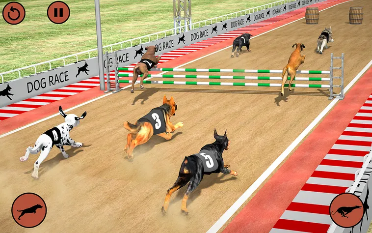 Bí Kíp Thắng Lớn Game Nhanh Đua Chó Tại Win777 Dành Cho Tân Thủ