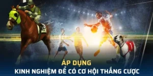 Tìm Hiểu Cá Cược Thể Thao Ảo Win777 Hiệu Quả Nhất Cho Tân Thủ